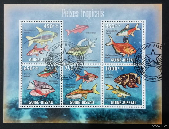 ФАУНА РЫБЫ МОРСКИЕ ОБИТАТЕЛИ    БЛОК  сто