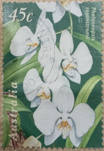 Австралия 1998. Фаленопсис. Орхидея