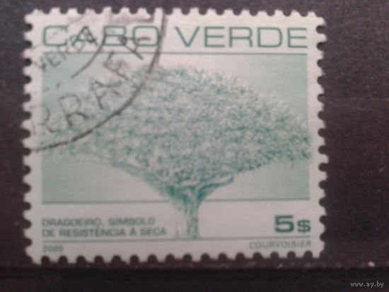 Кабо Верде, 2000. Стандарт. Драконово дерево