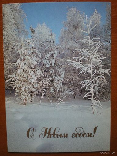Буркина Ю. С Новым годом. 1989 г. (чистая)