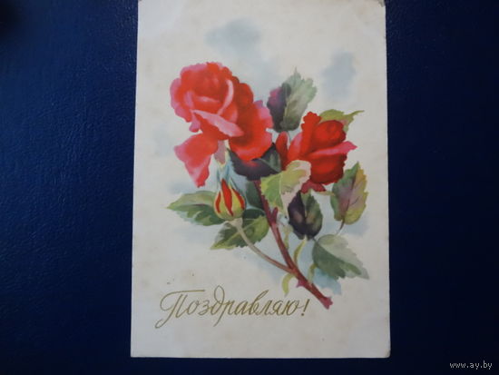 Поздравляю!  Розы.  1962 г.