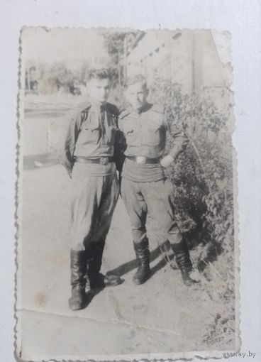 Фото в коллекцию