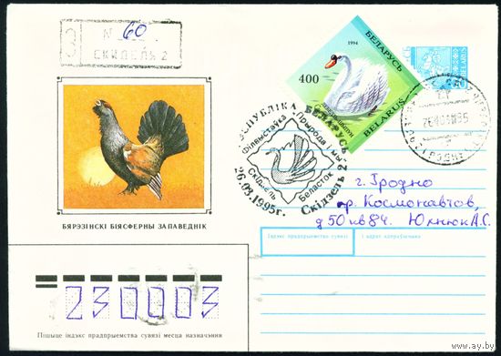 Беларусь 1994 год Художественный маркированный конверт ХМК Березинский биосферный заповедник