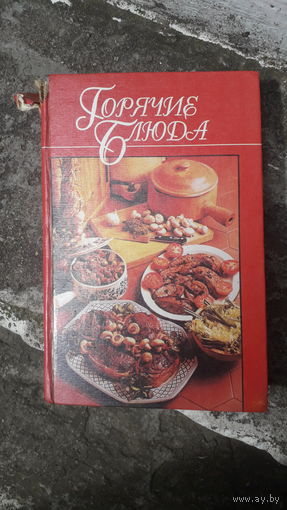 Книга Горячие блюда.1995г
