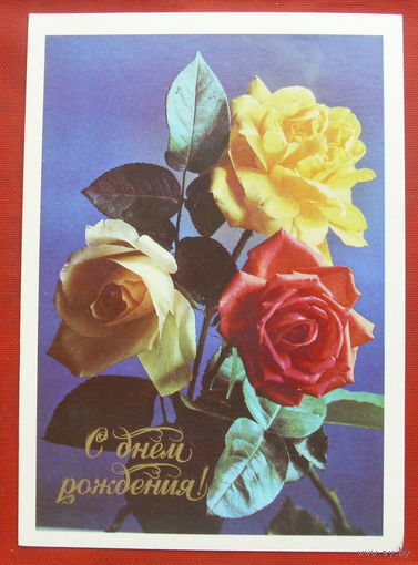 С днём рождения! Чистая. 1981 года. Костенко. 1437.