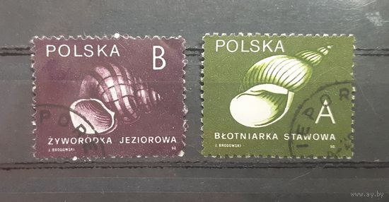 Польша. 1990 год. Раковины (2 марки из серии)