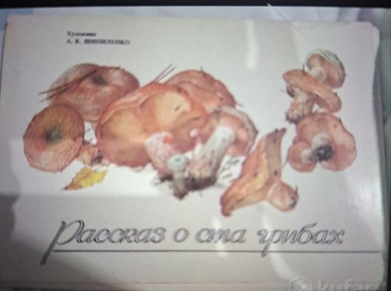 Набор открыток ,,Рассказ о ста грибах,