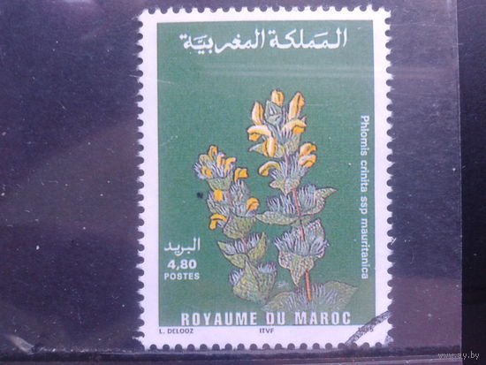 Марокко, 1995, Кипрей, Mi- 1,10 евро гаш.