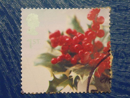 Англия. Флора