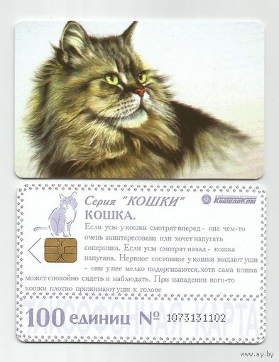 Таксофонная карта. Кошка из серии "Кошки"