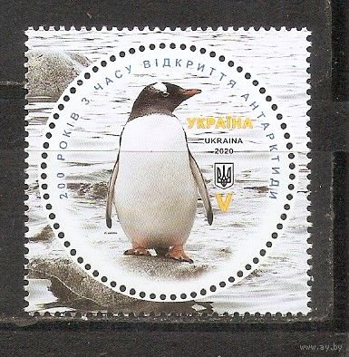 ФФ2 Украина 2020 Пингвин