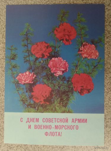 Открытка ,,с днем советской армии !,, 1989г. чистая