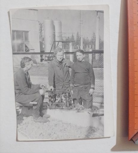 Фото в коллекцию