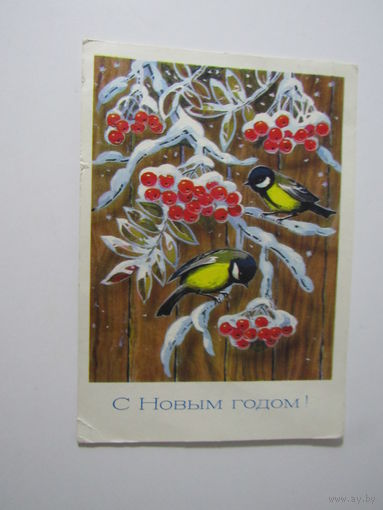 С Новым годом! Синицы на рябине" худ. Л. Кузнецов1976г.