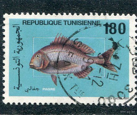 Тунис. Фауна. Рыбы