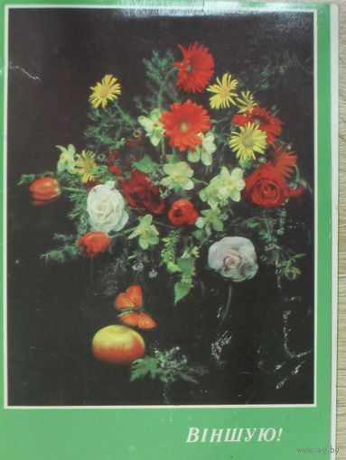 ДВОЙНАЯ ЧИСТАЯ ОТКРЫТКА СССР.ВIНШУЮ! ФОТО. Н. АГЛАДЗЕ. 1990 год.