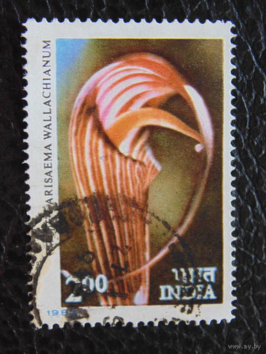 Индия 1987г. Искусство.