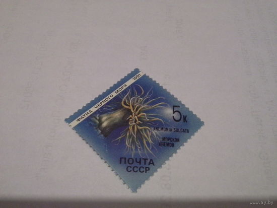 СССР 1991 анемон
