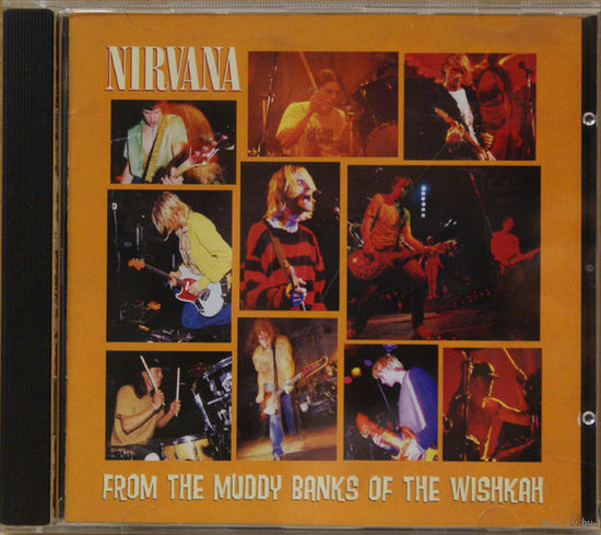 Nirvana From The Muddy Banks Of The Wishkah
