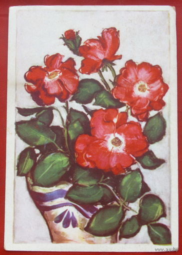 МОНИКА ЖЕРОМСКА. Полиантовые розы. Польша для СССР. Цветы. Чистая. 1358.