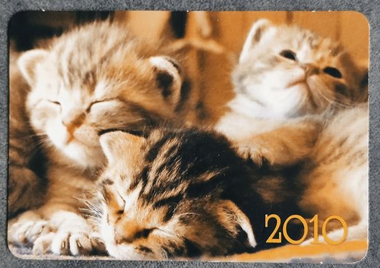 Календарик Котята 2010