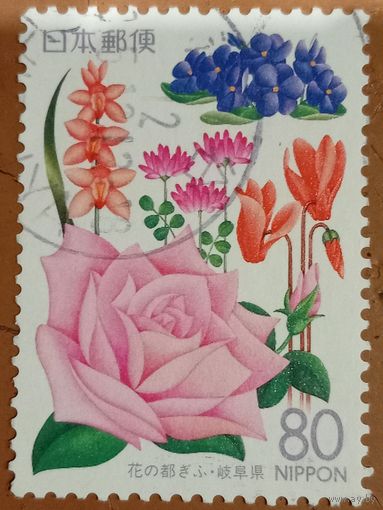 Япония. Флора. Цветы