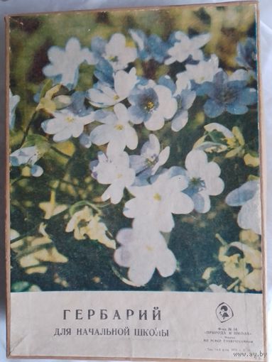 Гербарий для начальной школы СССР 1973г.