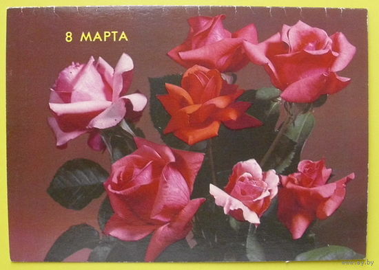 8 Марта! Подписанная. 1990 года. Круцко.