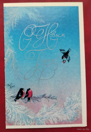 С новым годом! Чистая. Двойная. 1982 года. Уткина. 2069.