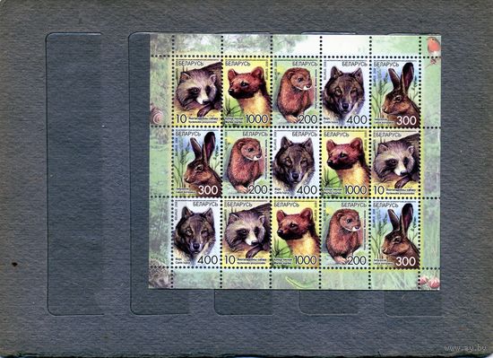 БЕЛАРУСЬ, 2008, ДИКИЕ ЖИВОТНЫЕ  М.ЛИСТ  (3х5) 733-737(Мартынов)