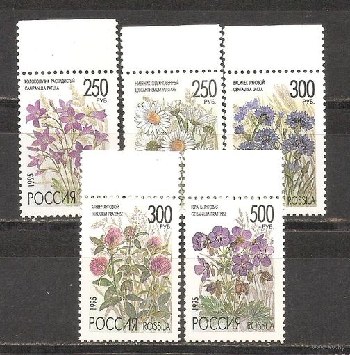 ФФ1 Россия 1995 Цветы