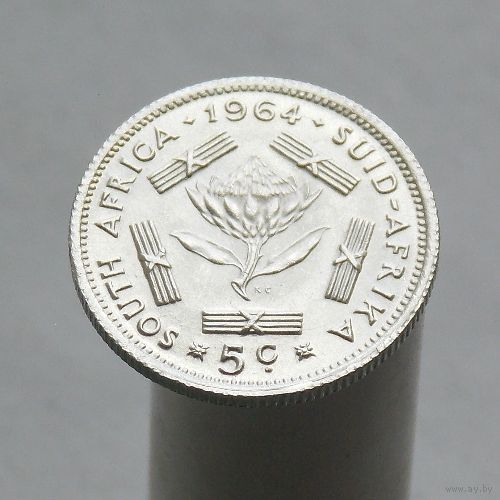ЮАР 5 центов 1964  В