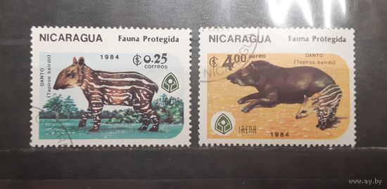 Никарагуа. 1984 год. Фауна. Тапиры (518)