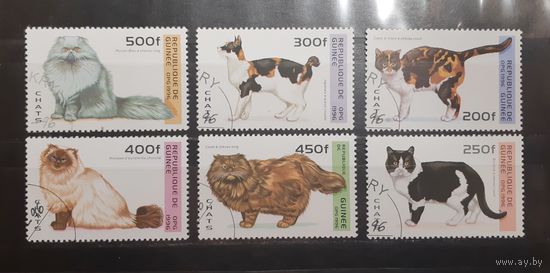 Республика Гвинея. 1996 год. Фауна. Кошки (758)