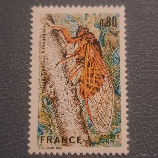 Франция 1977. Фауна. Насекоиые. Tibicina Haematodies