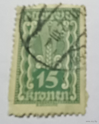 Австрия  1919г. Стандарт, 15 крон