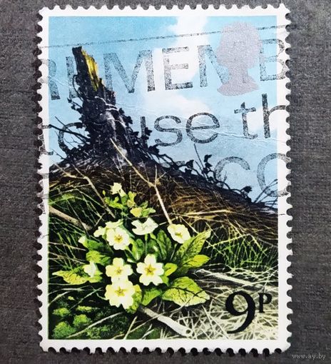 Марка Великобритания 1979 год Цветы