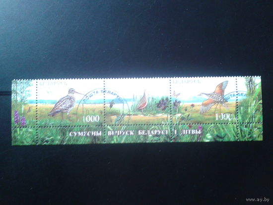 2007 Фауна, нижняя сцепка