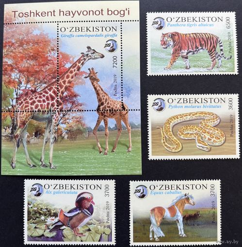 Узбекистан 2019 Фауна. Ташкентский зоопарк. Жираф.Тигр. Лошадь. Змея.