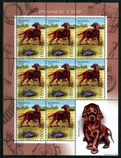 Беларусь 2010 #855. Лист Ирландский сеттер (8000 руб)