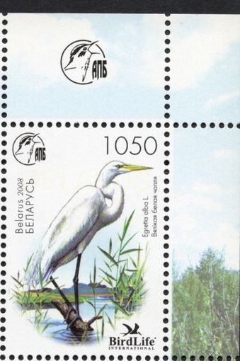 Беларусь 2008. Птица года. Белая цапля марка угол (414)