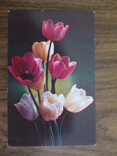 Почтовая карточка.1976г.Чистая.