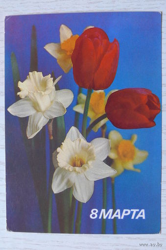 Костенко Г., 8 Марта; 1986, 1987, чистая.