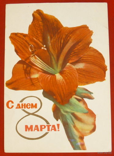 С днём 8 марта! Подписанная. 1965 года. Удин.  674.