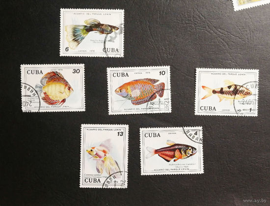 Куба 1978 г. Аквариумные рыбы. Фауна, полная серия из 6 марок #0243-Ф1P47