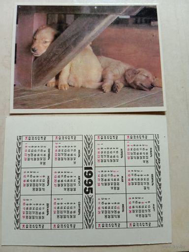 Карманный календарик. Собаки. 1995 год