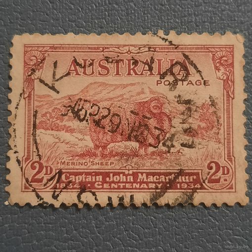 Австралия 1934. Merino Sheep. 100 летие Captain John Macartuur