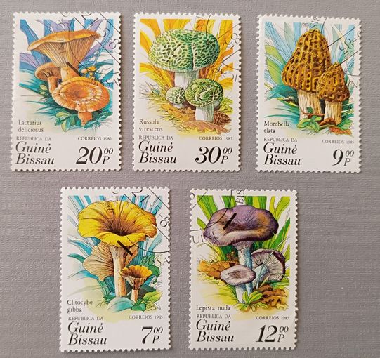 Грибы. Гвинея-Биссау, 1985