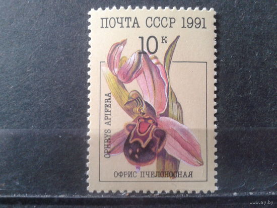 1991 Орхидея**