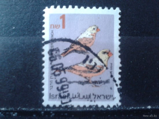 Израиль 1995 Стандарт, птицы 1,0 Михель-3,5 евро гаш